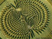 crop circles,agroglyphes